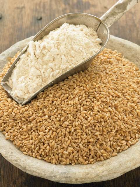 The Benefits of Freshly Milled Wheat Delight