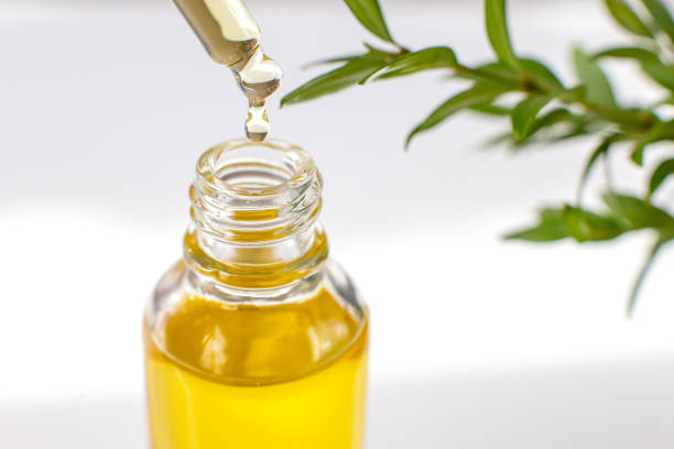 Wood Cold Press Oil: A Healthier Alternative to Conventional Cooking Oils