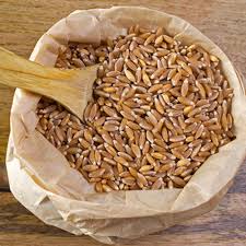 Khapli Wheat Flour | Emmer Wheat Flour | High Dietary Fiber for Easy Digestion | Stoneground Emmer Wheat Flour | Khapli Atta