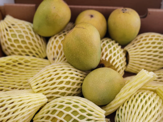 Alphonso| Hapus | 100% Natural | Naturally ripened - Delivery 24-25 April