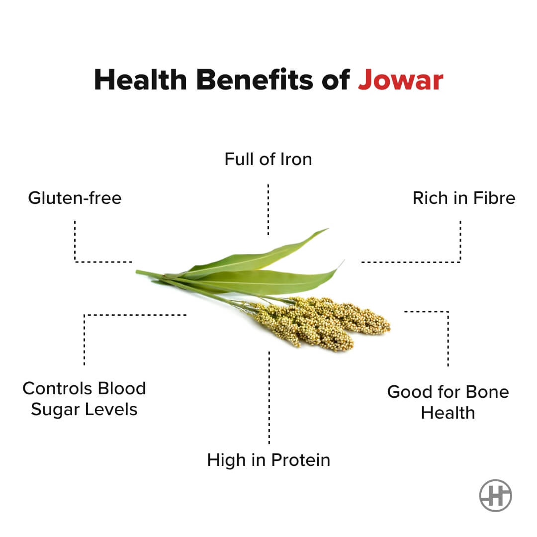 Jowar Daliya|Sorghum porridge |Gluten Free |